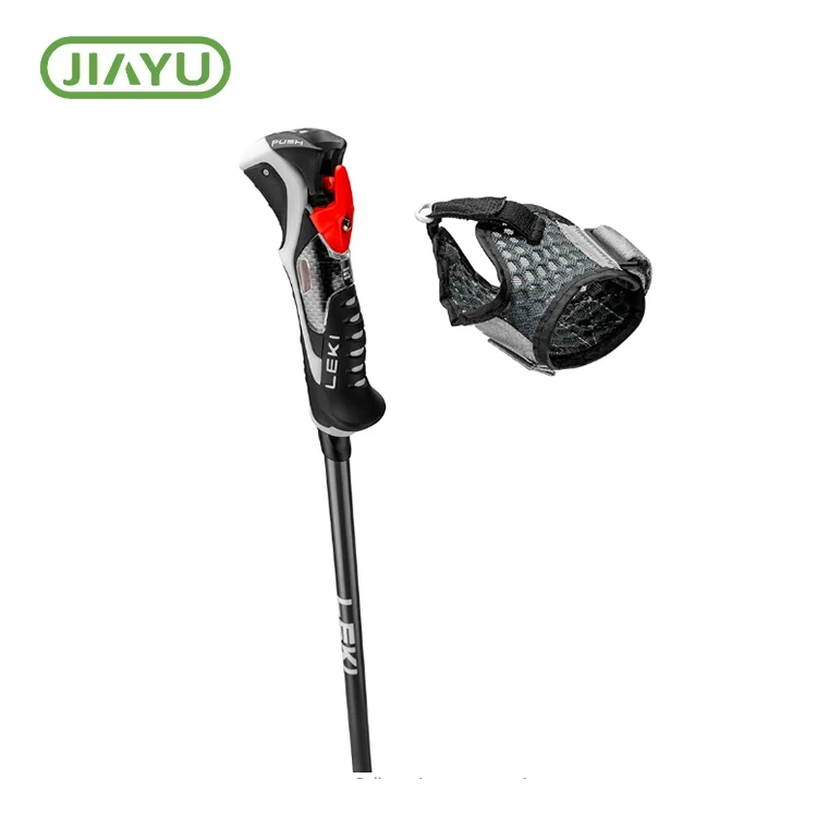 Carbon seda print ski poste